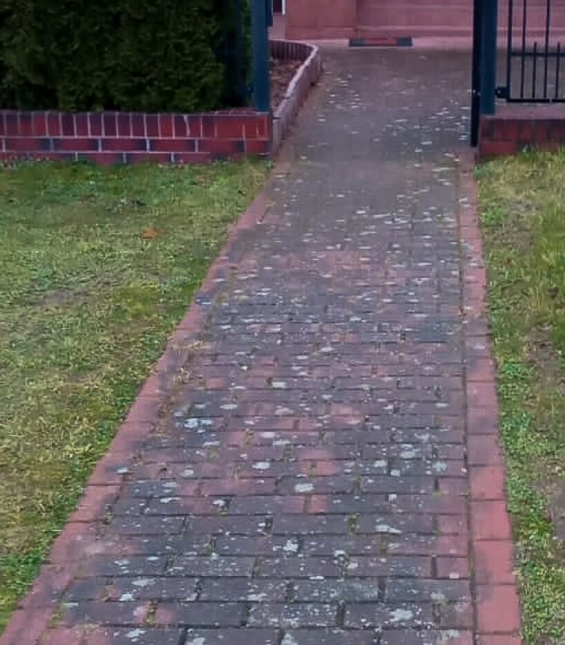 Kostka brukowa z mchem i porostami przed myciem
