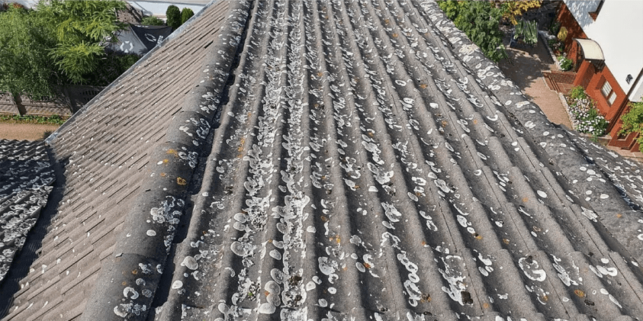 zabrudzony dach – nalot-mech-czyszczecie dachu